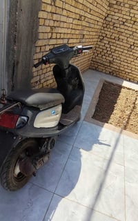 منغولي • فحل • مجال