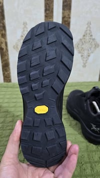 اركتيركيس • ٤١ • كورتكس