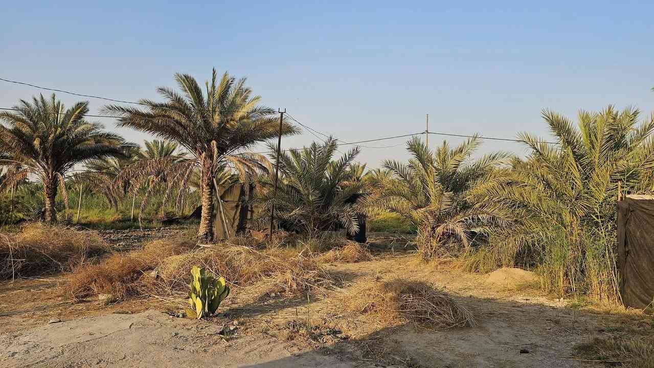 عقار مناسب في كربلاء💯
✅️دونم للبيع واجهه 30 متر 
وجه على نهر سقي ماء حلو 
مع دار إستراحة مساحة 100م 
طابو سند 25  تحويل بالطابو 

✅متوفرة كافة الخدمات 
تبليط، ماء، كهرباء، مدارس 
يصلح سكن أو متنفس عائلي 

✅️الموقع كربلاء - منطقة الدويهية 
شارع طويريج كربلاء عمود 260
يبعد عن شارع التبليط  400 متر 
يبعد عن شارع طويريج كربلاء 8 كيلو 
يبعد من مركز مدينة كربلاء  18 كيلو 

💰السعر 75 مليون  عقاري كربلاء   

📞 إتصل الآن:  ***********
