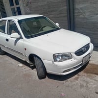 فيرنا • ٢٠١٢ • ما مصدوم