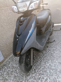بريز ببغاء • كفالة • حك جهة
