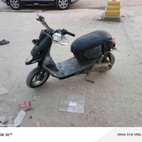 منغولي • 60 • مامفتوحه