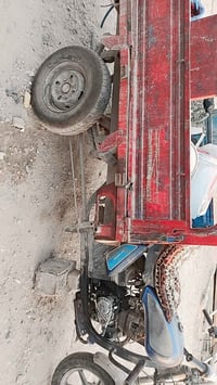 ستوته • كايم • مجال
