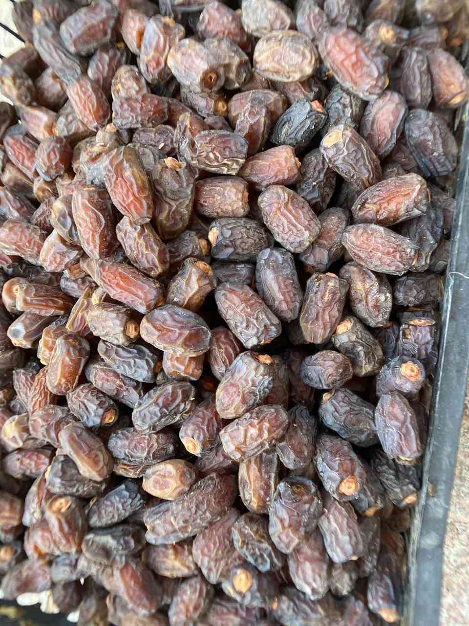 بريم درجه اولى • بيه مجال • الشجيريه