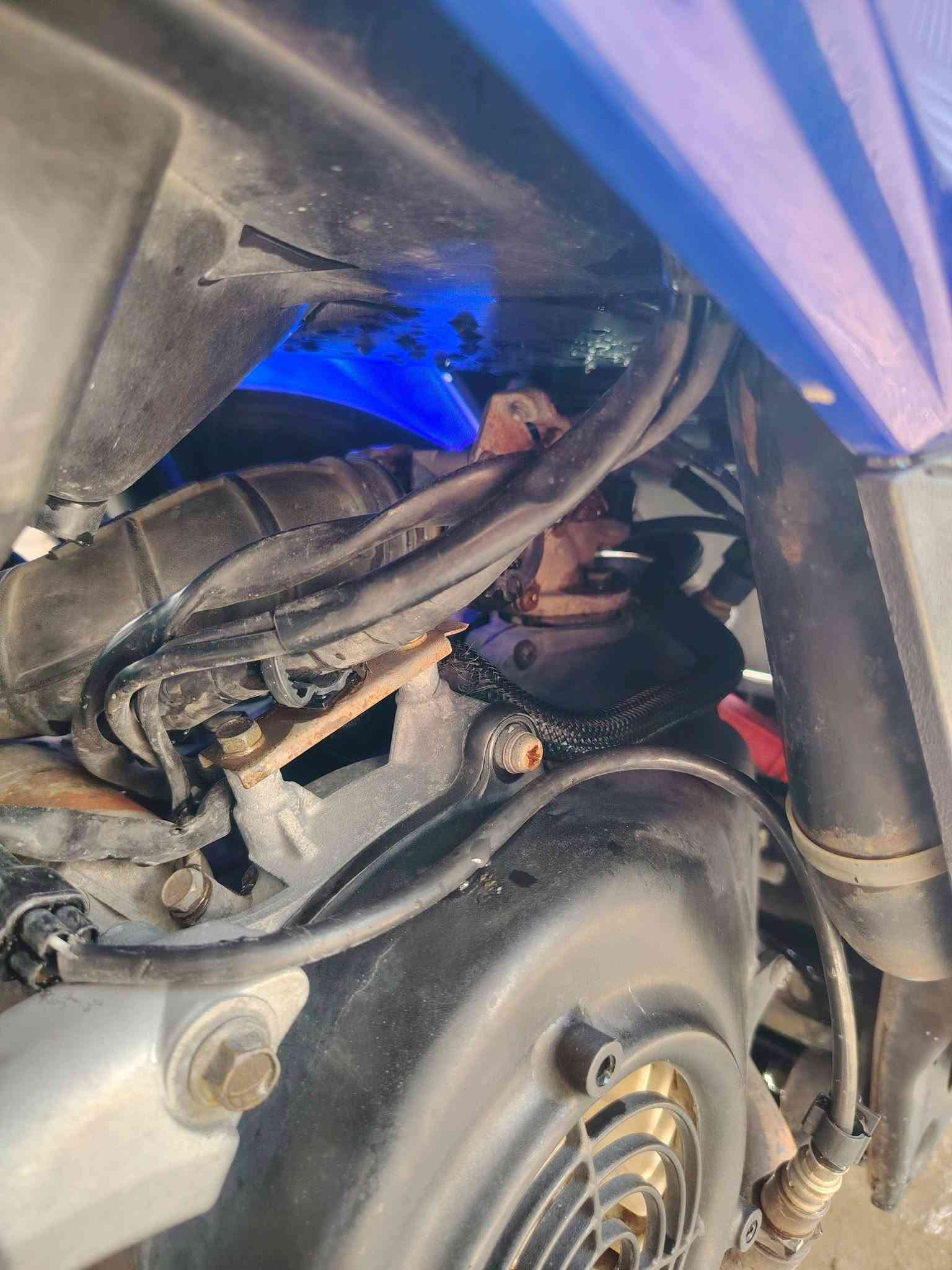 GTR • مكفولة • معدل