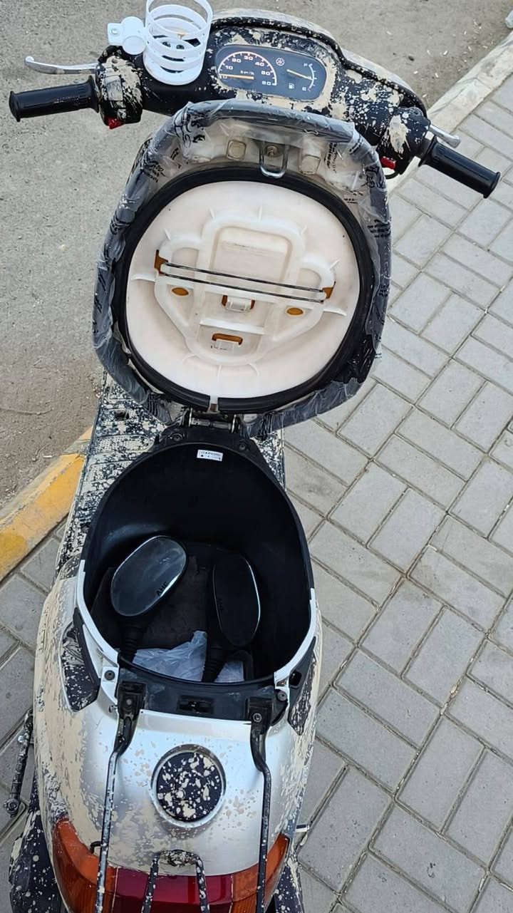 بطه • فحل • نضيفه