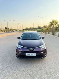 راف فور LE • ٢٠١٨ • بدون صبغ