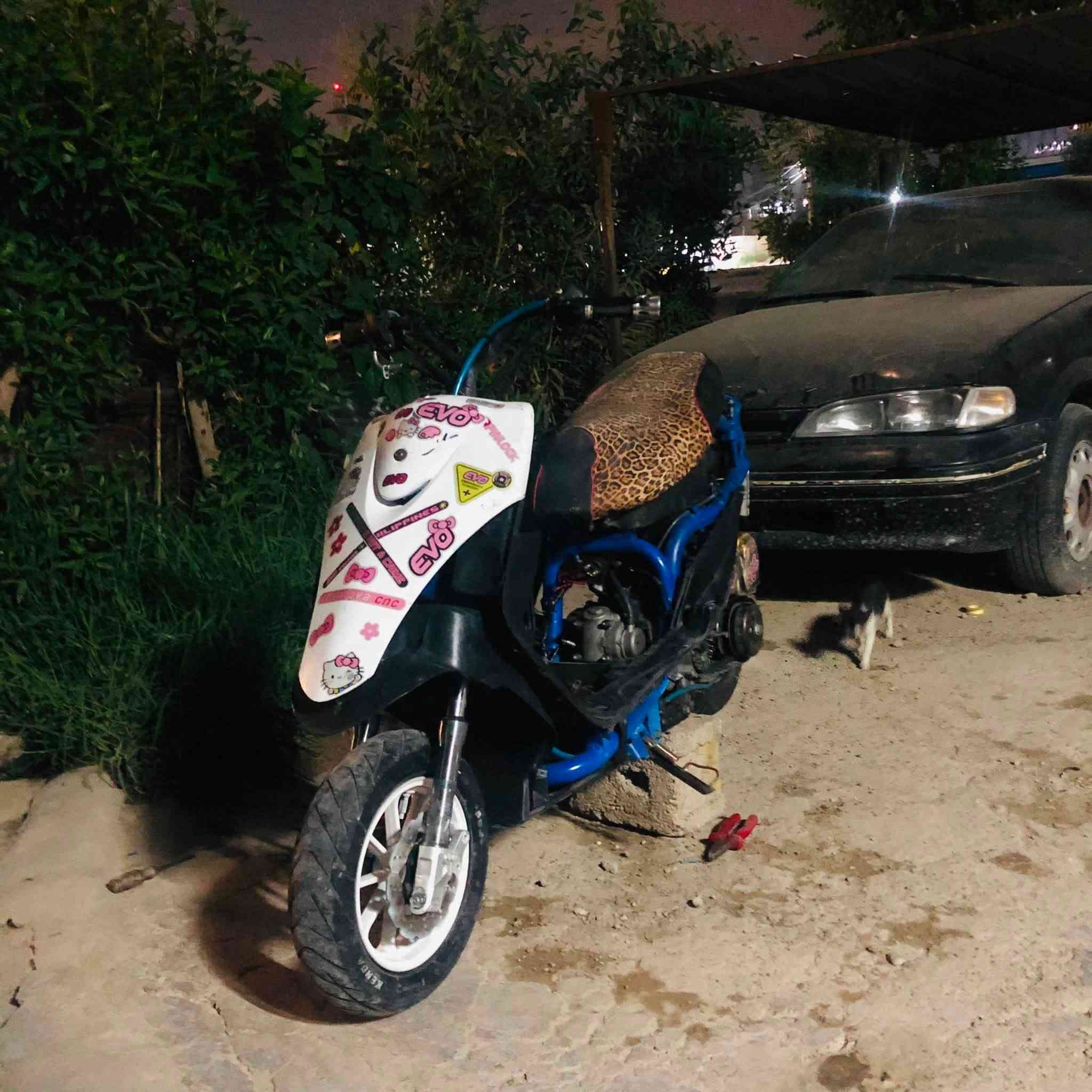 ٤٩ • نضيفه • دواخل جداد