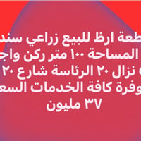 الرئاسه • ١٠٠م • سند ٢٥