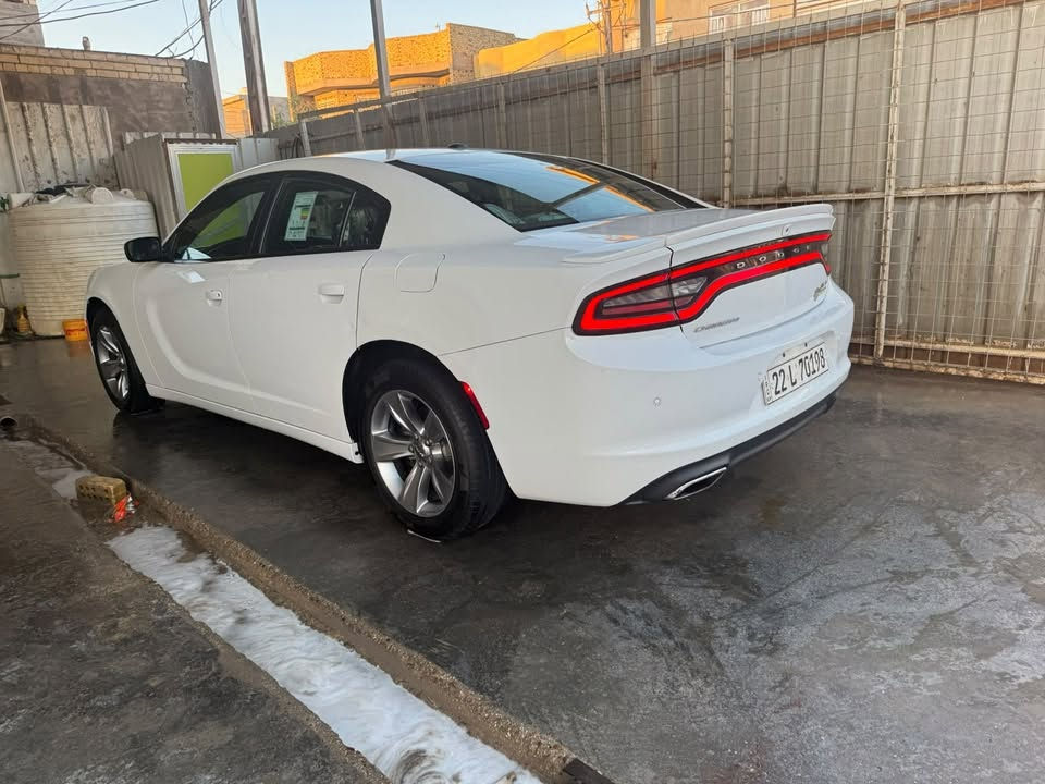 تشارجر SXT • ٢٠١٩ • رقم اربيل