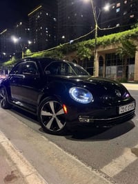 بيتل • ٢٠١٢ • بدون قطرة