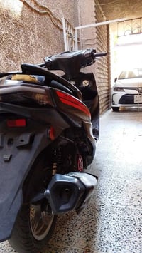 سكنس • ياباني • مكفوله