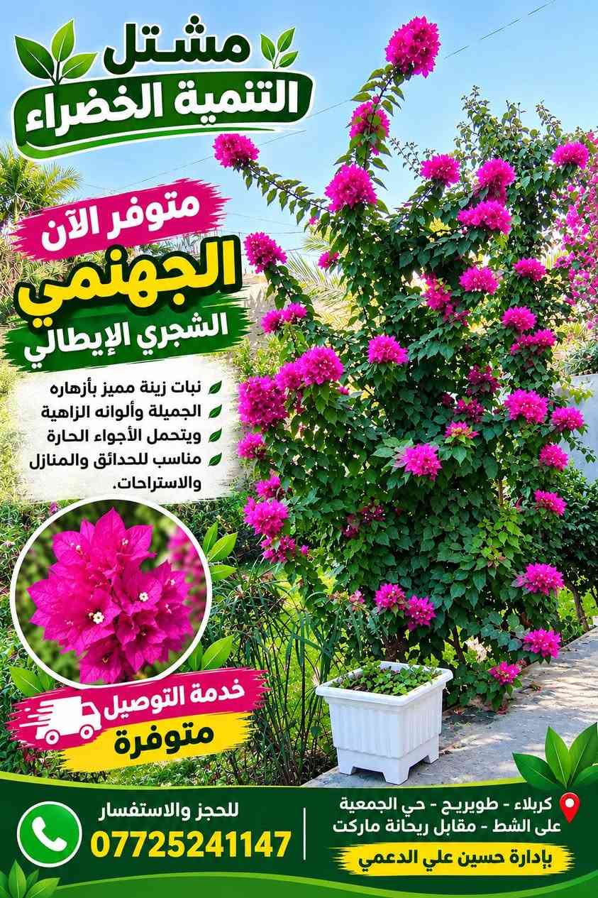 لا توجد تفاصيل

نص مكتوب في الصور:
- مشثل التنمية الخضراء متوفر الآن الجهنمي المتسلق الشعلة الذهبية أزهار غزيرة وجذابة مناسب للتسلق والحدائق ألوان مميزة وجمال يدوم خدمة التوصيل متوفرة بادارة حسين علي الدعمي كربلاء - طويريج - حي الجمعية - على الشط مقابل ريحانه ماركت
- مشتل التنمية الخضراء متوفر الآن الجهنمي الشجري الإيطالي نبات زينة مميز بأزهاره الجميلة وألوانه الزاهية ويتحمل الأجواء الحارة مناسب للحدائق والمنازل والاستراحات. خدمة التوصيل متوفرة للحجز والاستفسار *********** كربلاء - طويريج - حي الجمعية على الشط - مقابل ريحانة ماركت بإدارة حسين علي الدعمي
- مشْتَل التنمية الخضراء - نَزْرع الجمال ... لنحيا بيئة أجمل - متوفر لدينا الجهنمي المتسلق الشعلة الذهبية أجمل الألوان وأعلي جودة خدمة التوصيل لجميع محافظات العراق كربلاء - طويريج - حي الجمعية على الشط مقابل ريحانه ماركت بادارة حسين علي الدعمي ***********