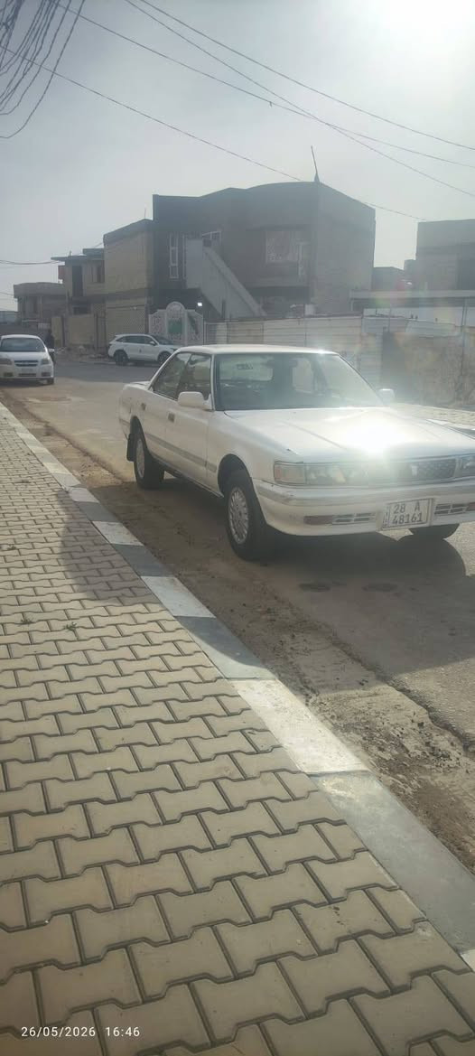 مارك كربلائي شرط كارتون اراوس بكيه بريجو مكاني النجف +9647826765275
