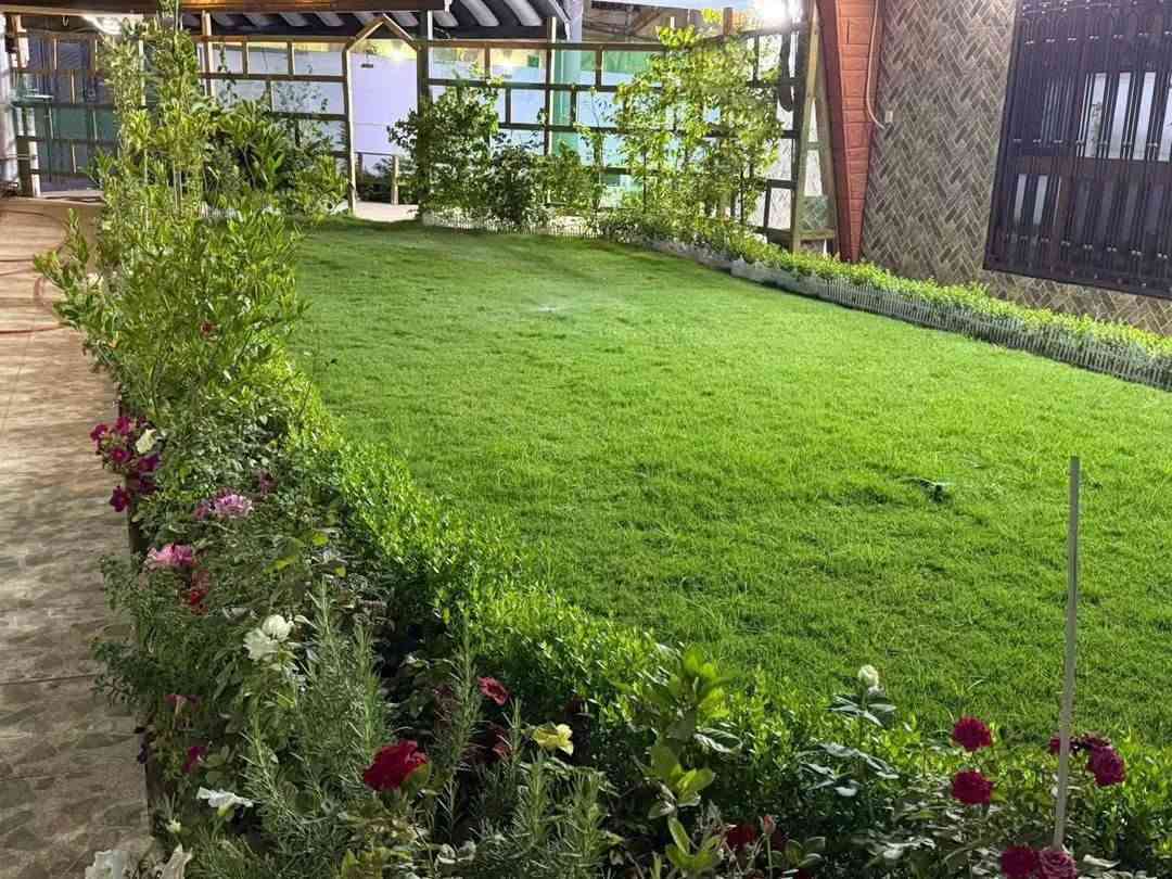 حدقجي 🌱 متخصص لعمل كافه الديكورات والأحجار والاين البنل التركي وزراعة وتقليم الأشجار
