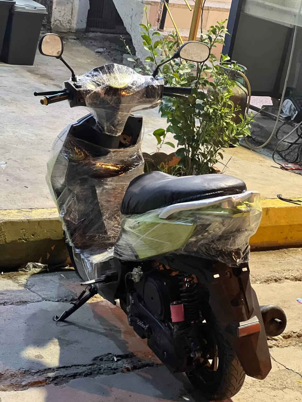 ماكس بومه • ٥٥ • معدل