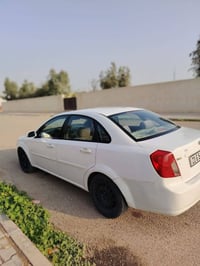 بدون ضرر • ٢٠١٠ • ديالى