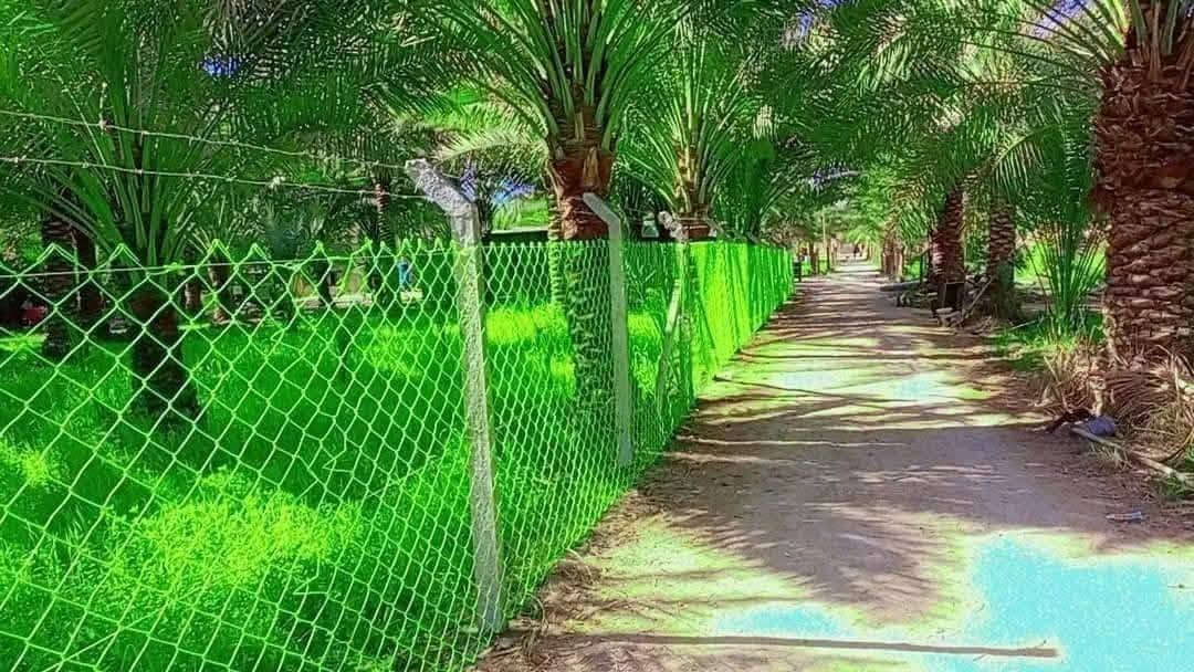 سياج بي آر سي • تركيب احترافي • مقاوم للصدأ
