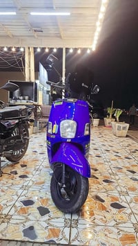 ماكس بوليس • بلاديه • ٢٠١٠