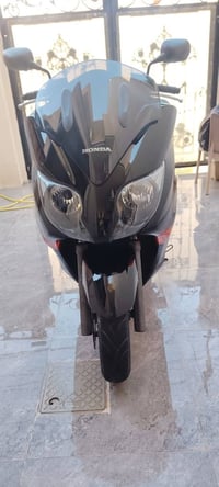 كسر الكارتون • ماشية ٥٤ • سنوية