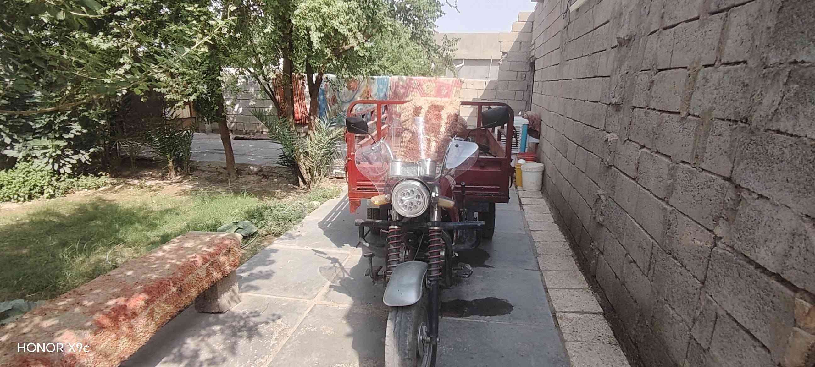 ستوته • موديل ١٤ • اوراق كاملة