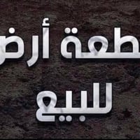 أم الخيل الثانية • ٣٠٠م • واجهة ١٥م