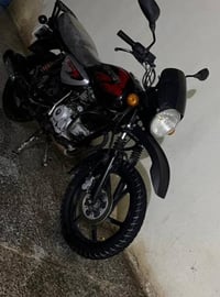 بوكسر جبلي • ٢٠٢٣ • باسمي