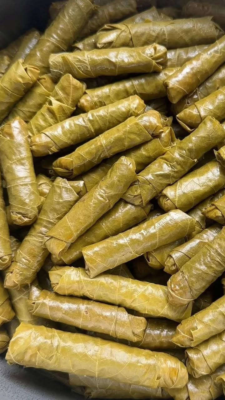 شايفين هاللمعة؟ هذا ورق عنب ايان قبل لا يدخل الجدر 🍇
طازة، ناعم، وما ينمل منه🤤
يوجد توصيل 🚛
للحجز مراسلة الصفحة 
او الاتصال ع هذا الرقم ‏‪***********‬‏
