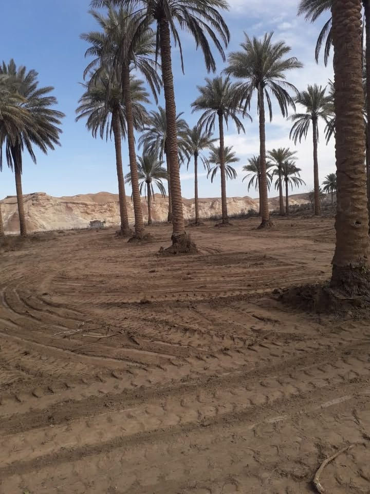 طابو زراعي • ٨ دونم • مطل على الفرات