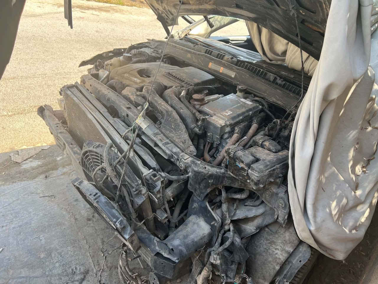 فيوجن هايبرد • ٢٠١٩ • عليه حادث