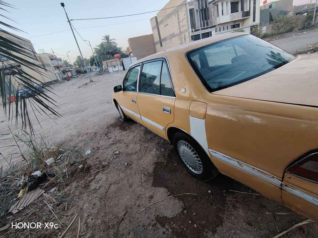 للبيع راس الثور أو مراوس #***********
