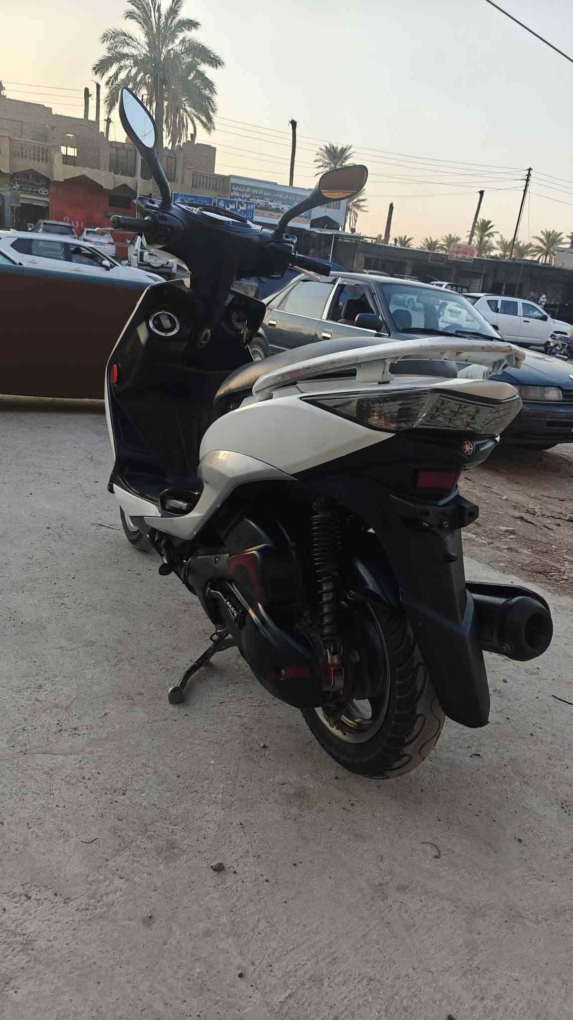 سكنس • ياباني • نفخ