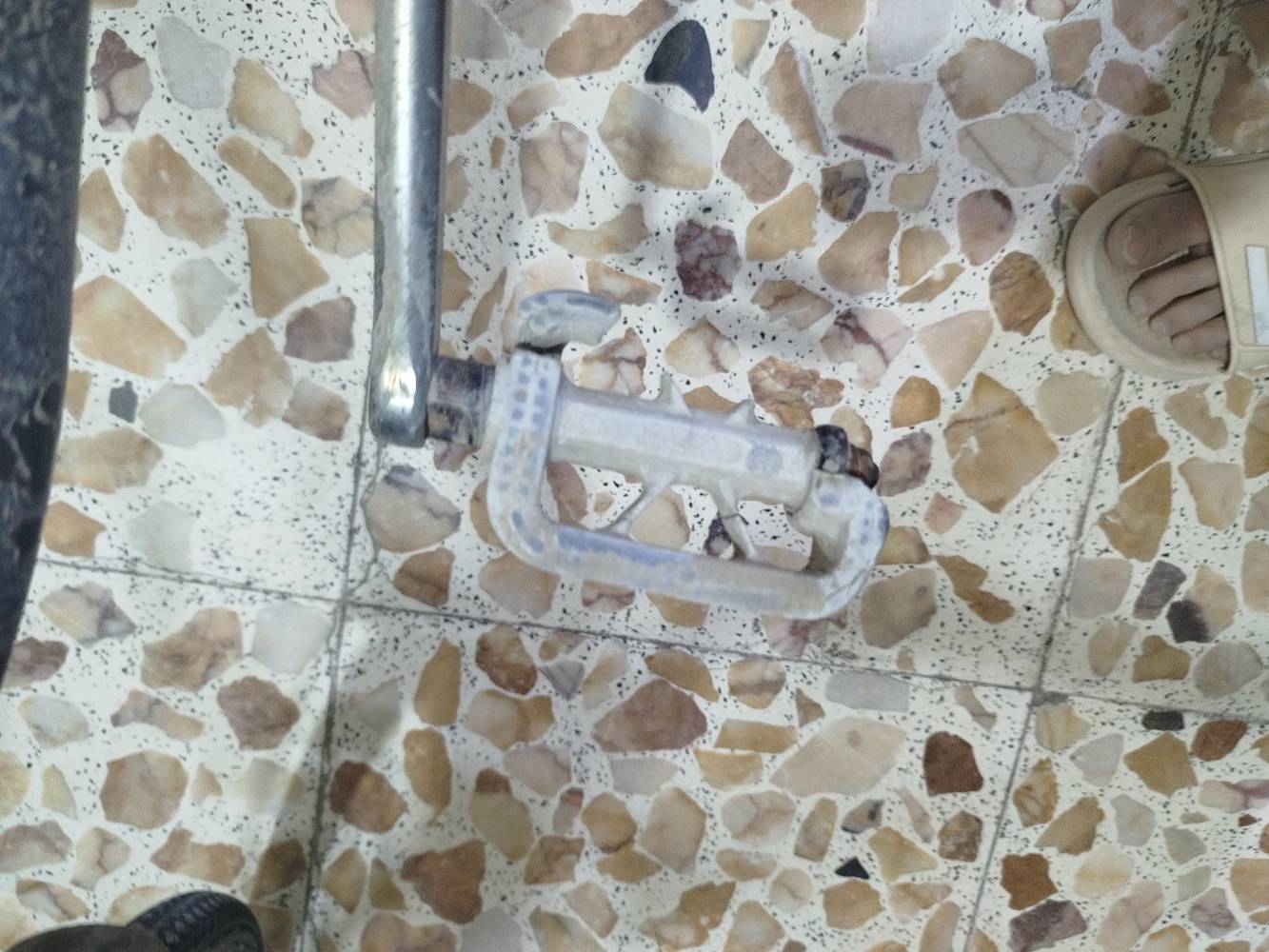 حجم 24 • نضيف • بيدر واحد