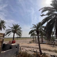 بناء حديث • ٤٠٠م • ٢ دونم