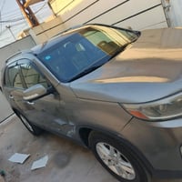 سرونتو • ٢٠١٤ • ٧ راكب