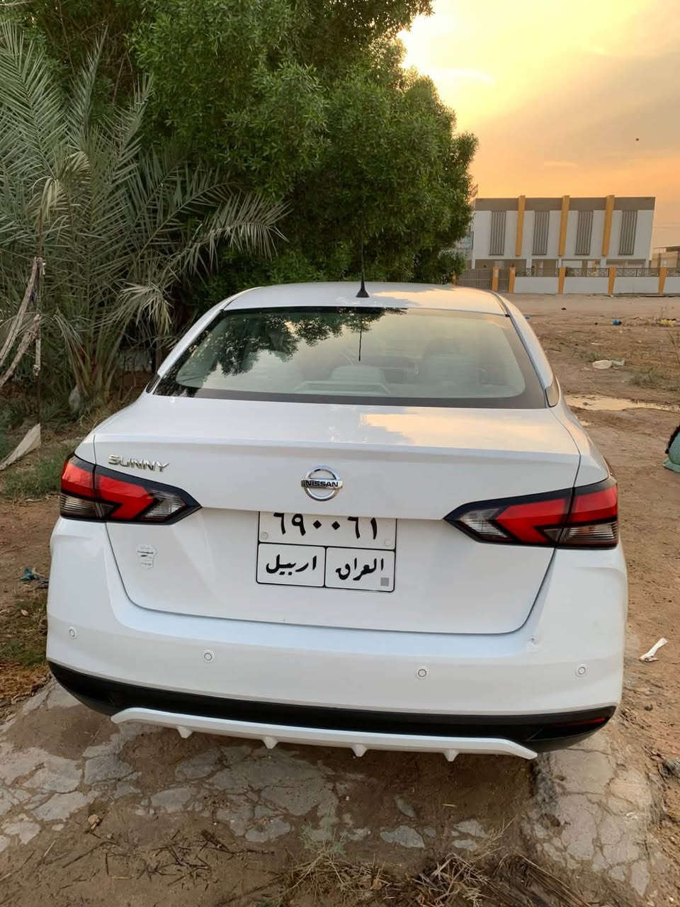 صني مكسيكي • موديل ٢١ • مكفولة