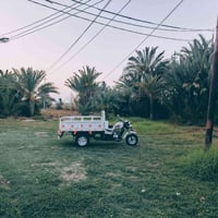 دايوان • ١٧ • مكفولة