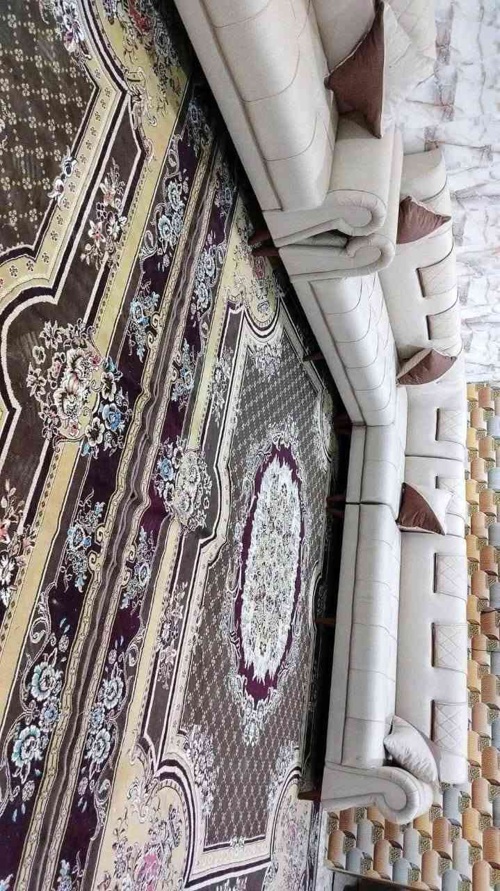 من رخصة ألادمن
عيني تخم ديوان كورنر ٢٠ طول ١٤ متر ونص تفصال بمعنى الكلمه درجه اولى جديد شغل معمل احنه مشتغليه
لون أوف وايت مطعم ب جوزي موديل جكليته بيه قنفتين مفصوله مع زاويه وحده مثل ماموضح بالصور يوصلك اي اختلاف عن تفاصيل يرجع  شراي يتصل *********** متوفر واتساب أو مراسله الخاص
