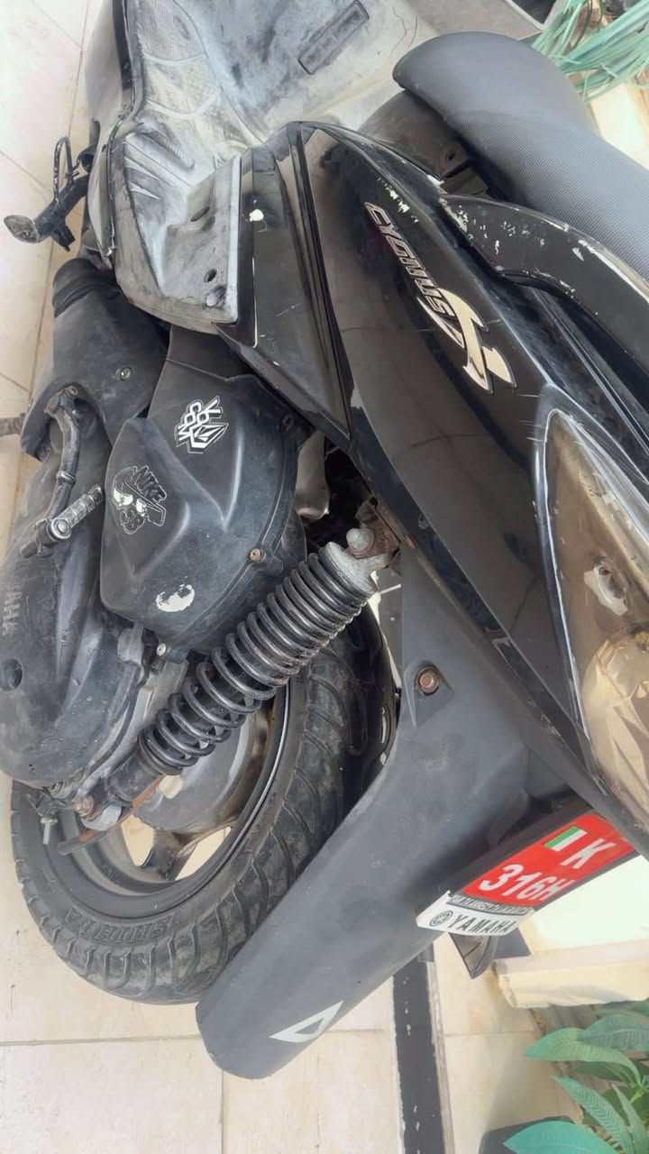 سكنس فحل • كابريتر • كفالة