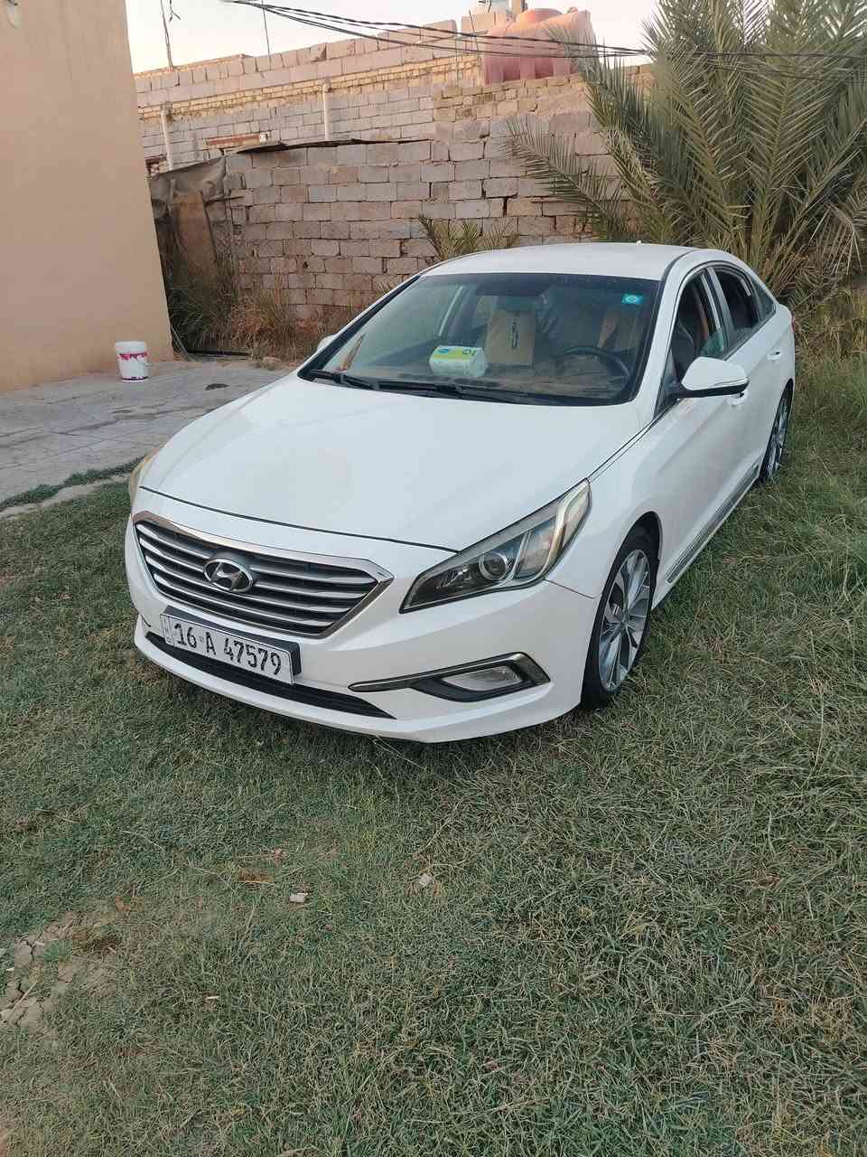 سوناتا ٢٠١٦ • وارد كندي • حادثه