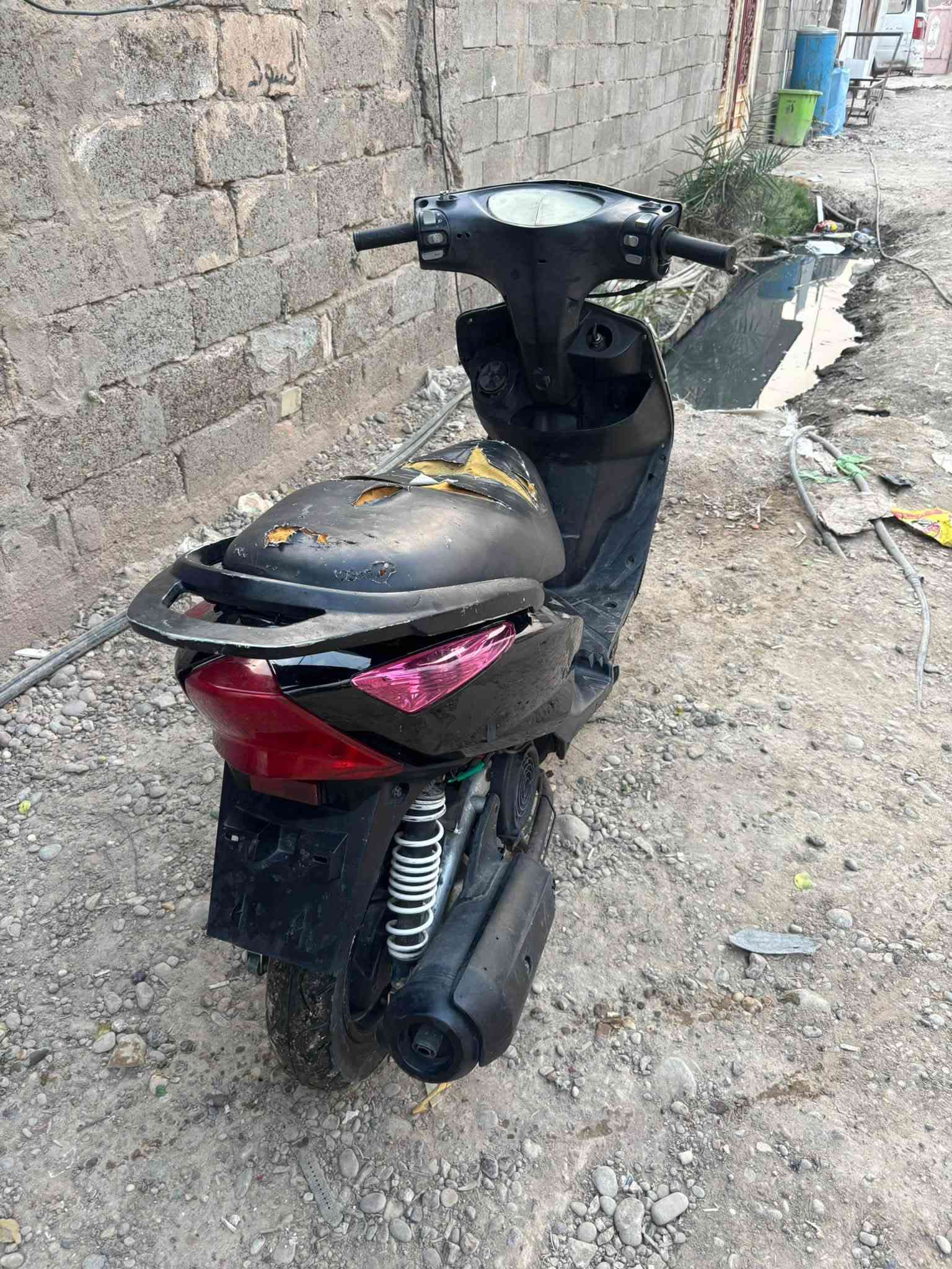 ثعلب • بلادية • نقصها كابريتر