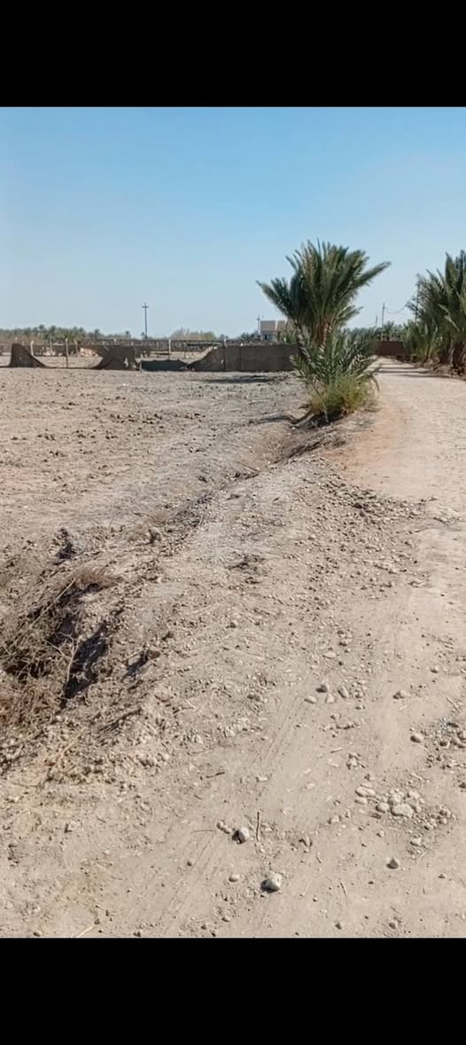 اسلام عليكم توجد ارض طابو زراعي سند 25بسمي مساحت الكاع 1250المحويل البعلوان الستفسار‏‪***********‬‏

نص مكتوب في الصور:
- ٢٠٢٦/٠٢/٢٧ ٩:٢٧ م ١١:٤٩ ص مشاركة المفضلات تعديل حذف المزيد