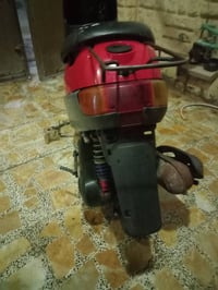 بطه • نضيفه • اشاير شغاله
