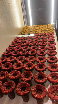 خلفة اراگيل • نضام سياحي VIB • خشب الماني