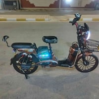 دراجة شحن • ٢٠٢٤ • سعر خاص