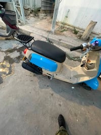 بوليس • ٢٠٠٨ • ترتيب بسيط