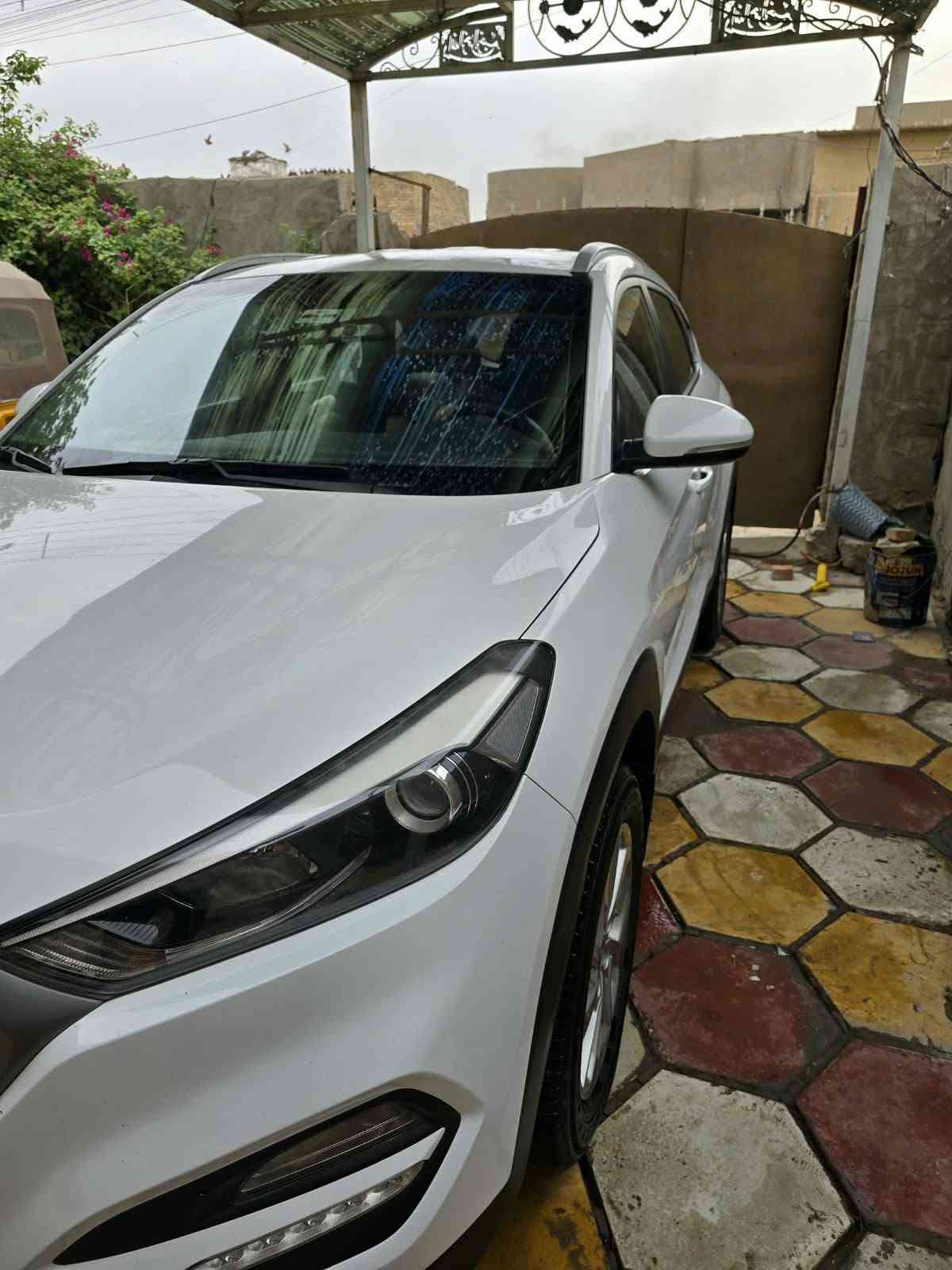 توسان • ٢٠١٦ • مكفولة