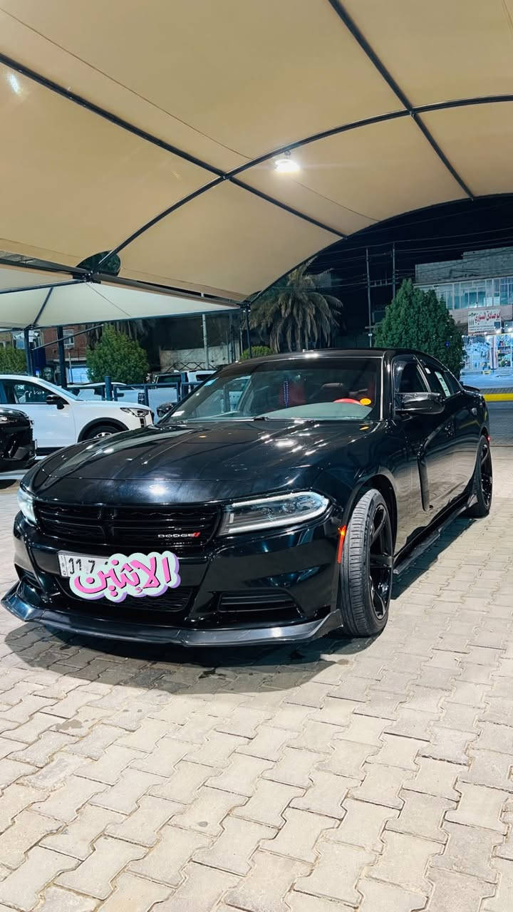 ⚡ Dodge Charger SXT 2023 ⚡

🔴 ماشية 58 الف ميل 

⚙️ محرگ و گير كفاااله 

❄️ تبريدها ثلج 

السيارة مواصفاتها معروفه / مال جناي 
السونار مرفق مع الصور تفاصيل السياره كلها واضحه 

السعر — 238 وبيها مجال للشراي / رجاءا الجاد بالشراء فقط يتصل. 

مكان السيارة كربلاء / الرقم : ***********
