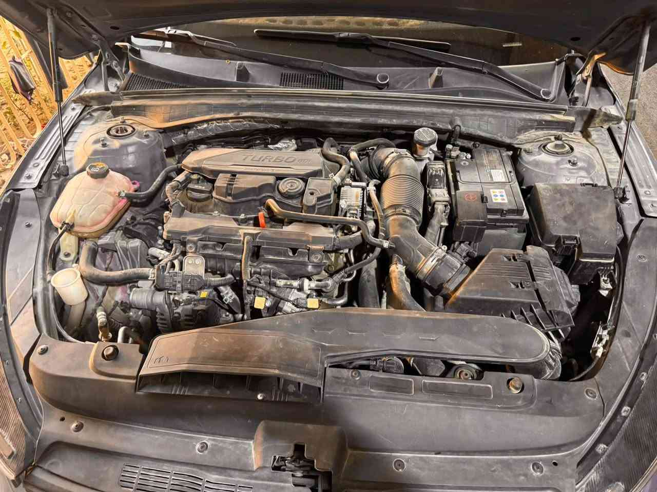 سلام عليكم البيع k5 موديل ٢٠٢٢ وارد أمريكي حادثه بنيد وجاملغ الأمامي الأيمن وبيه مكانات بارد جاهزه من مكينه كير حداديه وتبريد فول مواصفات واحد عل واحد (مكلف بنشر) ايستفسار اتصل عله رقم ‭***********‬ كربلاء, العراق

