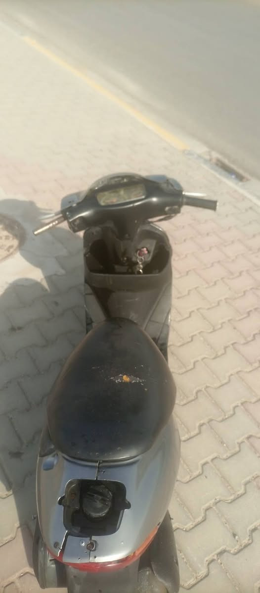 خفاش • ٦٠ • نضيفه